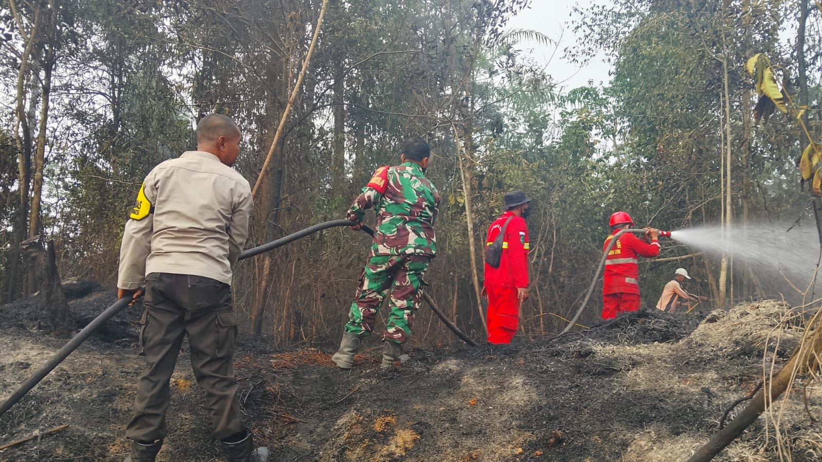 Tim Gabungan Padamkan Karhutla di Sungai Pulai Batanghari, Setengah Hektare Lahan Terbakar