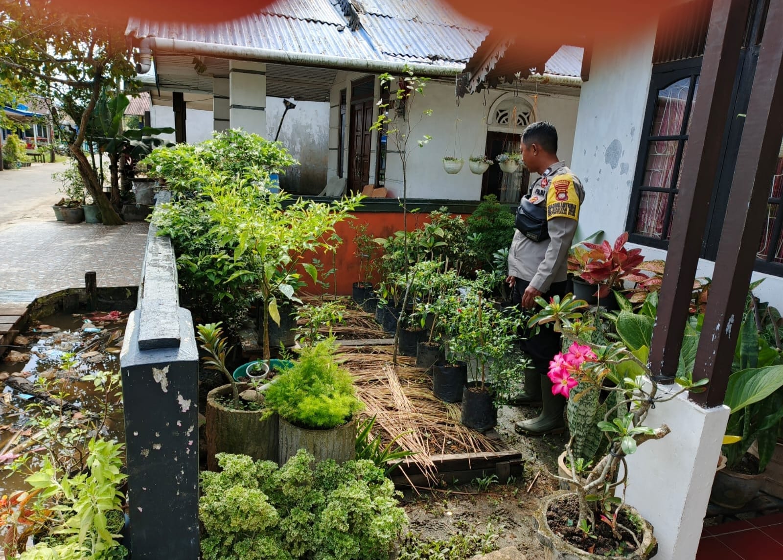 Dukung Ketahanan Pangan, Bhabinkamtibmas Siantan Hilir Ajak Warga Manfaatkan Pekarangan untuk Tanaman Sayuran