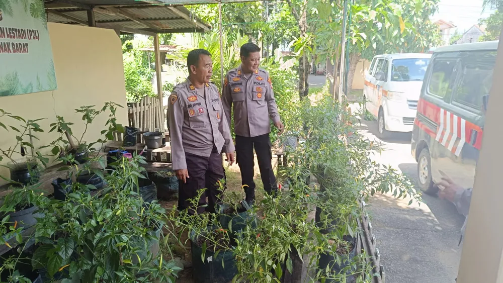Dukung Swasembada Pangan, Polsek Pontianak Barat Manfaatkan Lahan Mako untuk P2B