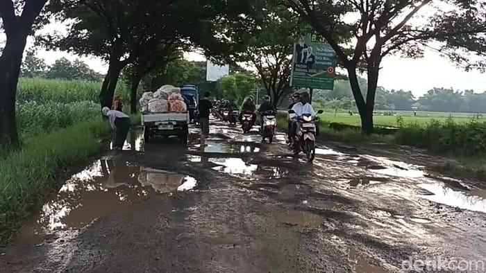 Truk Bermuatan Tahi Ayam Terguling di Jalur Offroad Pati-Rembang