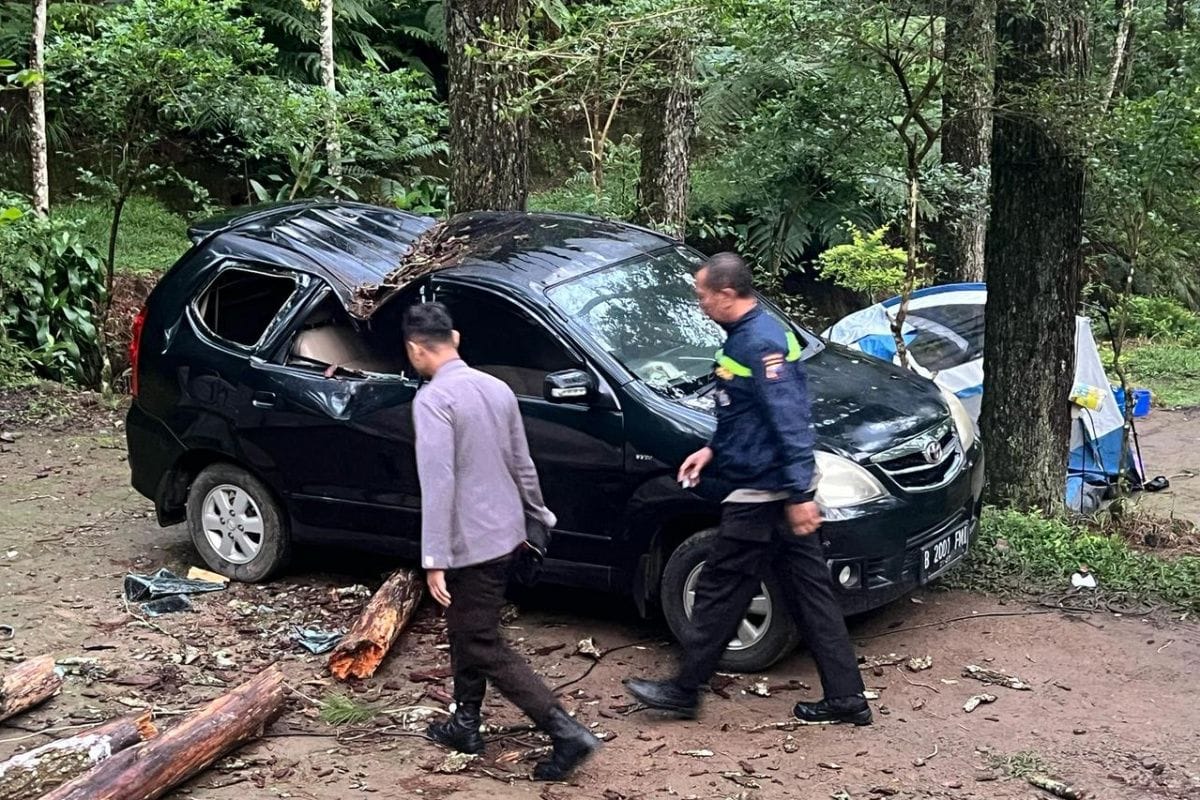 Tragis, Wisatawan Meninggal Tertimpa Pohon di Area Perkemahan Karanganyar