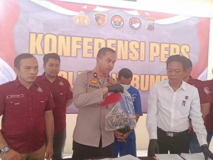 Angkut 8 Kambing Curian Pakai Mobil Rental, Pelaku Ditangkap Polres Kebumen