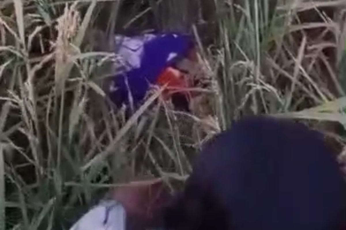 Temukan Bayi di Sawah, Nenek di Cilacap: "Saya Kaget, Padahal Jujur Saja..."