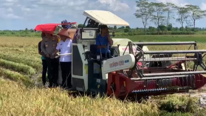 Panen Raya Serentak 14 Provinsi, Gubernur Kalteng Agustiar Sabran Hadir di Pulang Pisau