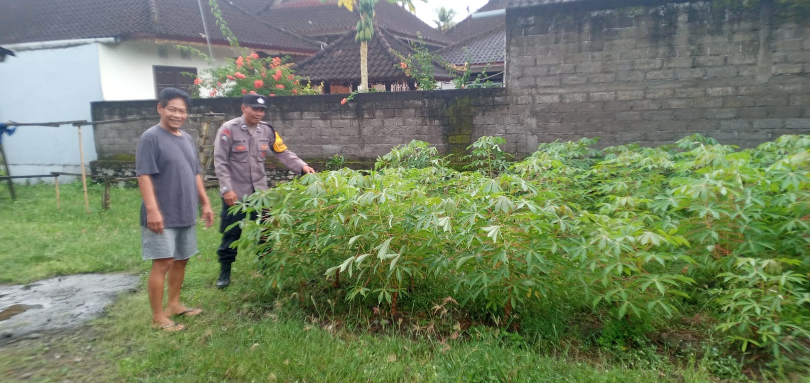 Ketahanan Pangan: Peran Bhabinkamtibmas dalam Gerakan Pekarangan Bergizi di Jembrana