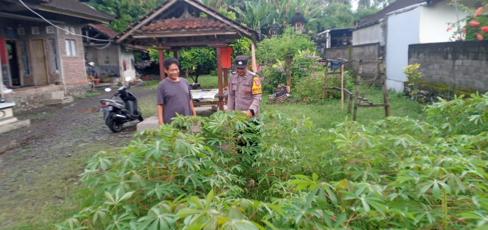 Bhabinkamtibmas Jembrana Dukung Pekarangan Bergizi untuk Ketahanan Pangan