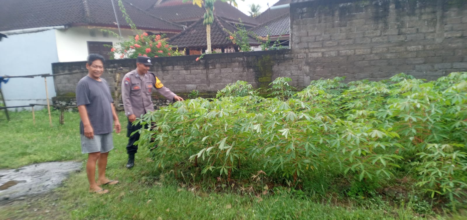 Wujudkan Ketahanan Pangan, Bhabinkamtibmas Jembrana Dorong Pekarangan Bergizi