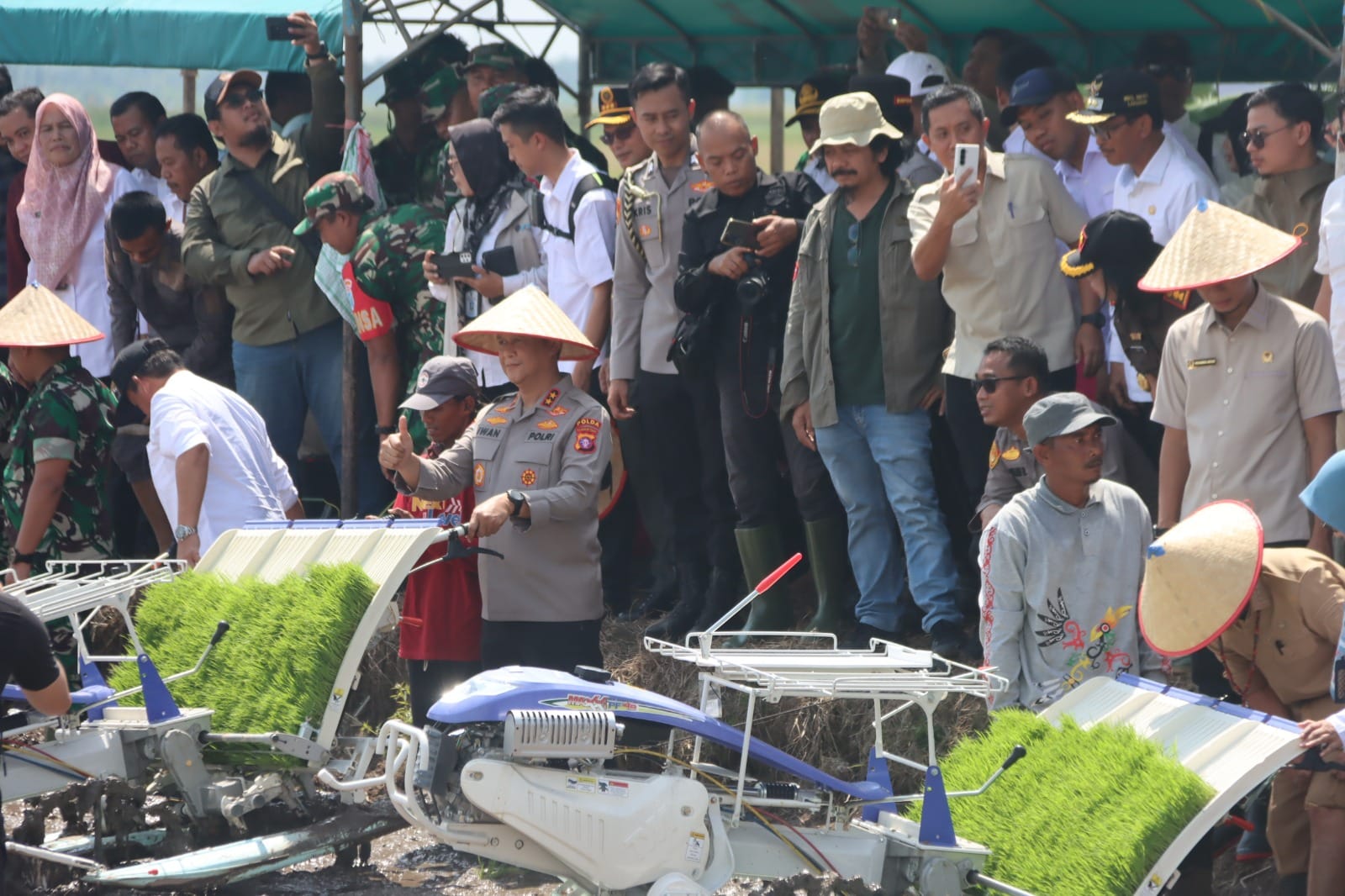 Kolaborasi 14 Provinsi, Kapolda Kalteng Ikut Tanam Padi Massal di Sampit