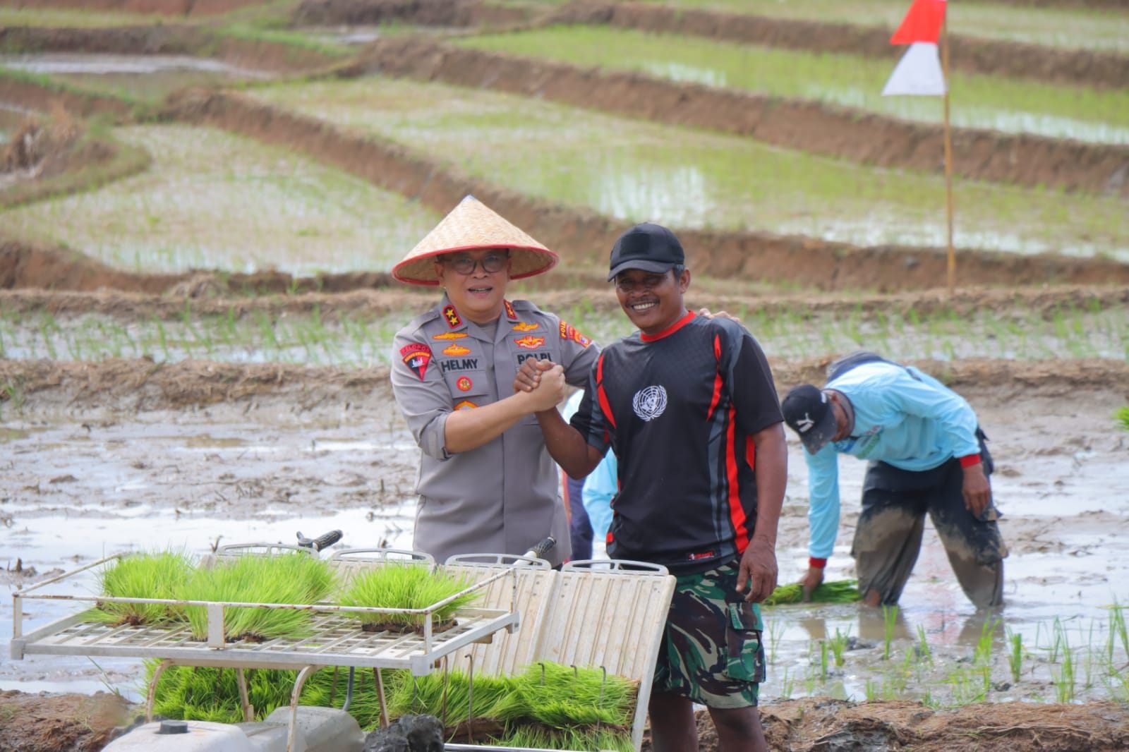 Kapolda Lampung Ikut Gerak Tanam Raya Padi Serentak, Dukung Ketahanan Pangan Nasional
