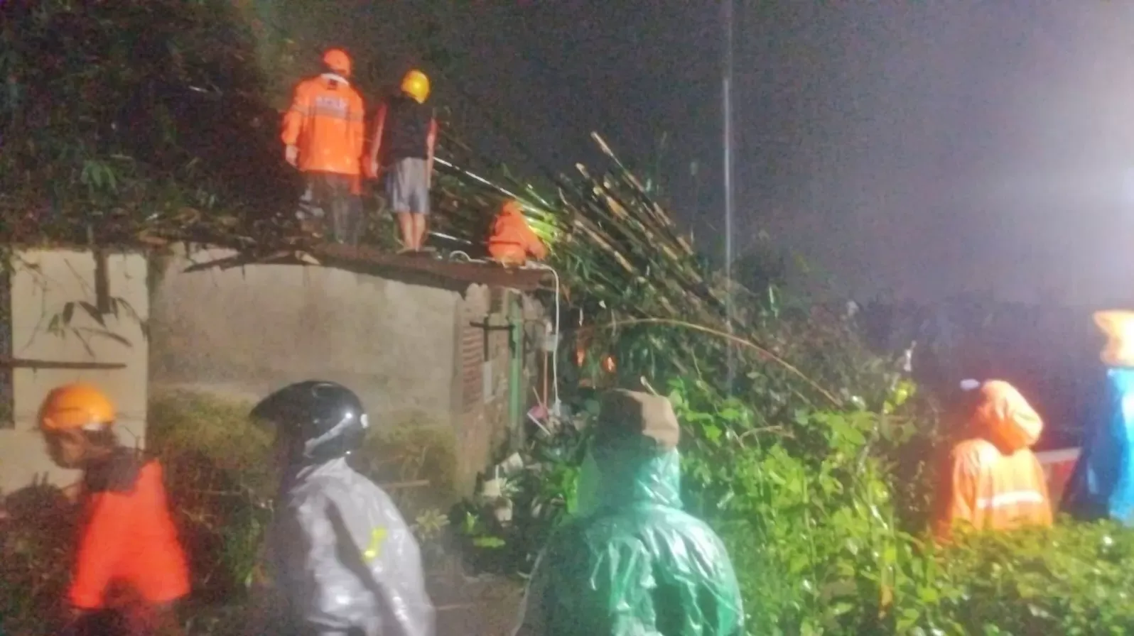 Puluhan Pohon Tumbang Akibat Angin Kencang di Banyumas, Rumah Warga Jadi Korban