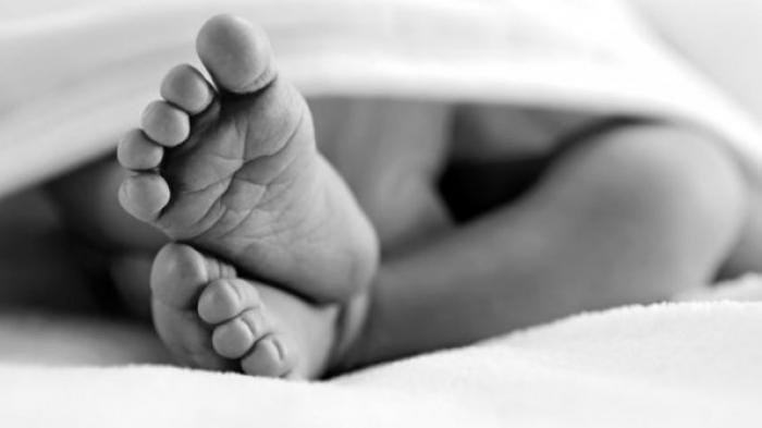 ​Kartu Garansi Magicom Ungkap Kasus Pembuangan Bayi di Jepara​