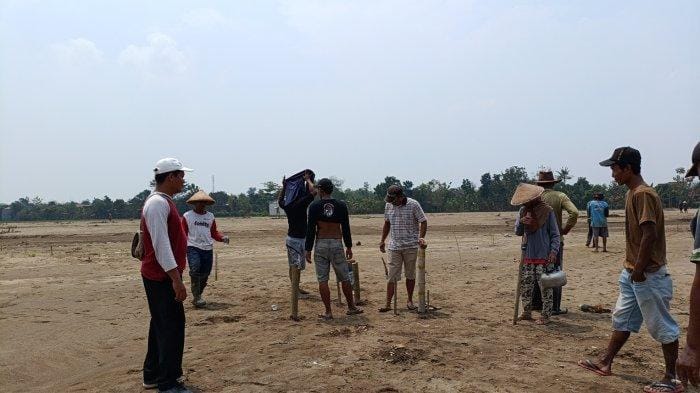 Sawah Tertimbun Lumpur, Petani Grobogan Alihkan Tanaman ke Kacang Tanah