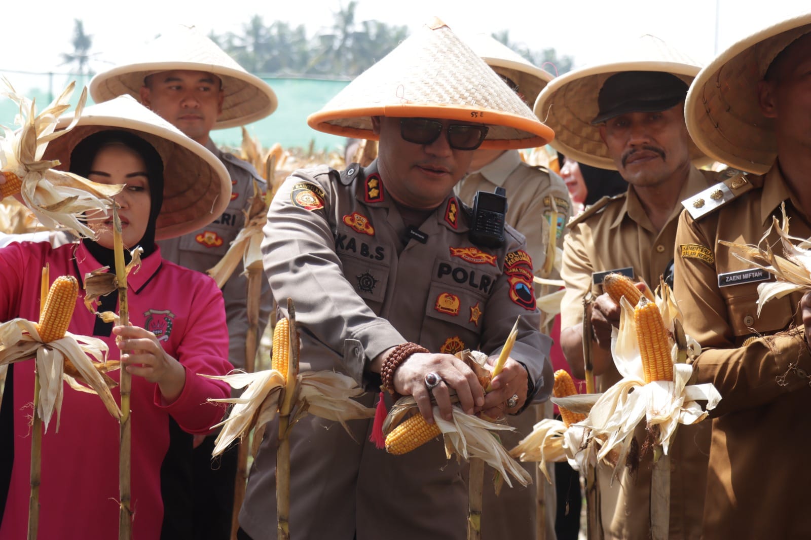 Polres Kebumen Gelar Panen Raya Jagung Tahap II, Perkuat Ketahanan Pangan Nasional