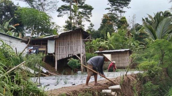 Menjelang Idul Adha, Dua Kambing Kurban di Baturraden Raib Digondol Maling