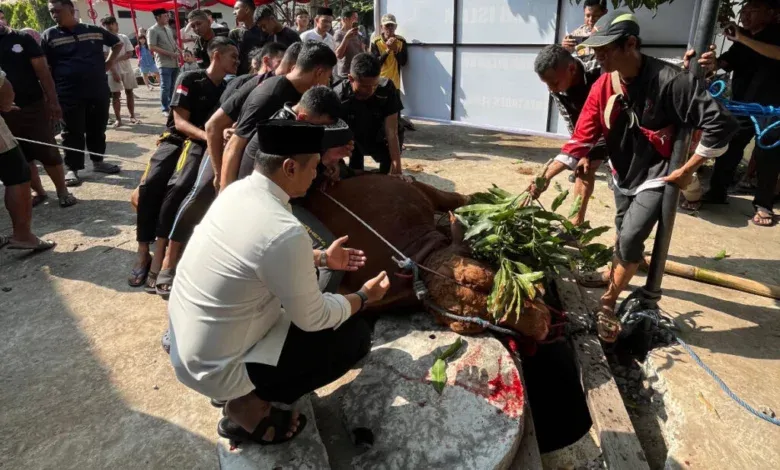 Rayakan Idul Adha, Polrestabes Semarang Gelar Pemotongan Hewan Kurban