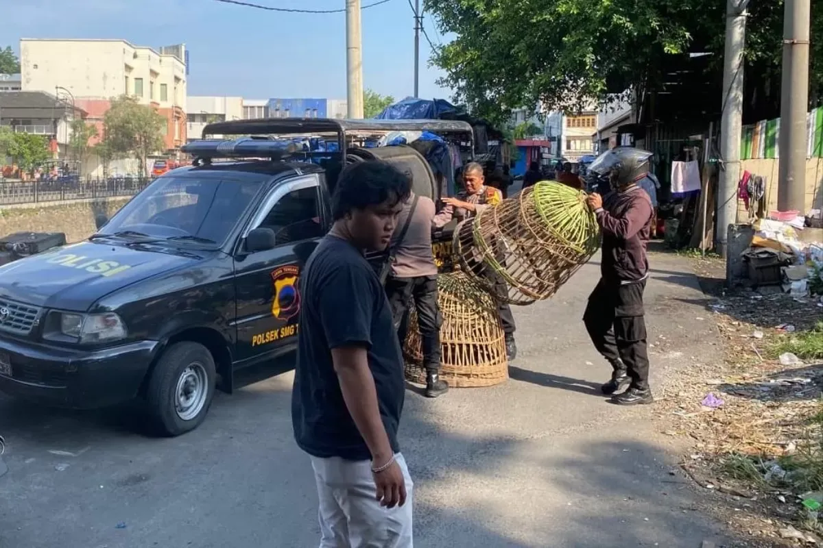 Aksi Polisi di Pasar Johar Semarang: Gerebek Arena Sabung Ayam, Temukan 2 Ayam Aduan