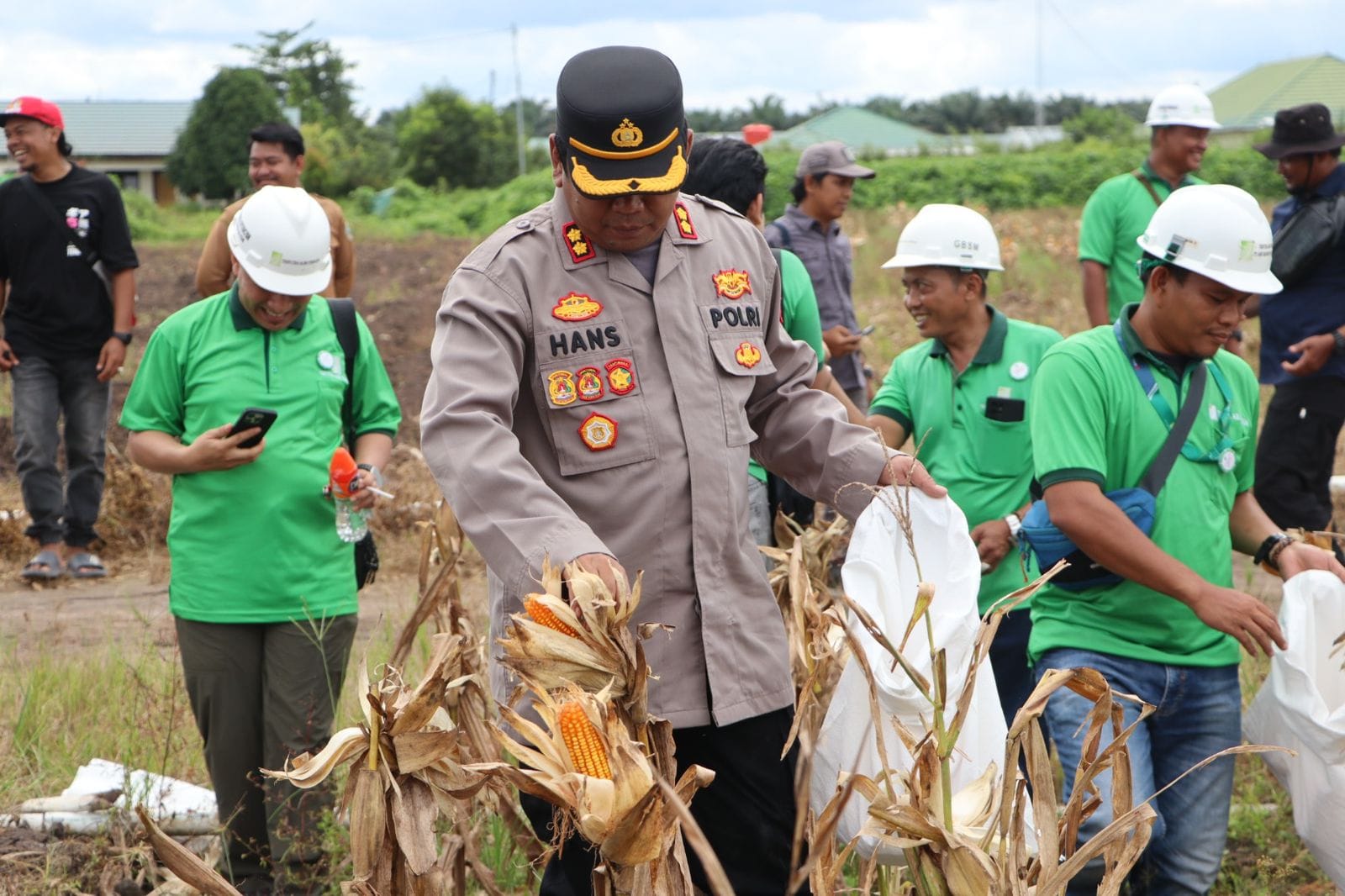 Polres Seruyan Panen 2,5 Ton Jagung di Lahan PT GBSM Dukung Ketahanan Pangan