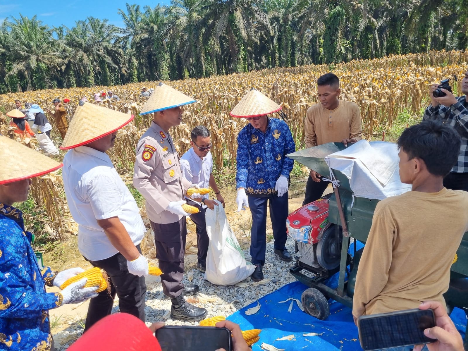 Kapolres Kampar Pimpin Panen Raya Jagung: Dukung Ketahanan Pangan Nasional