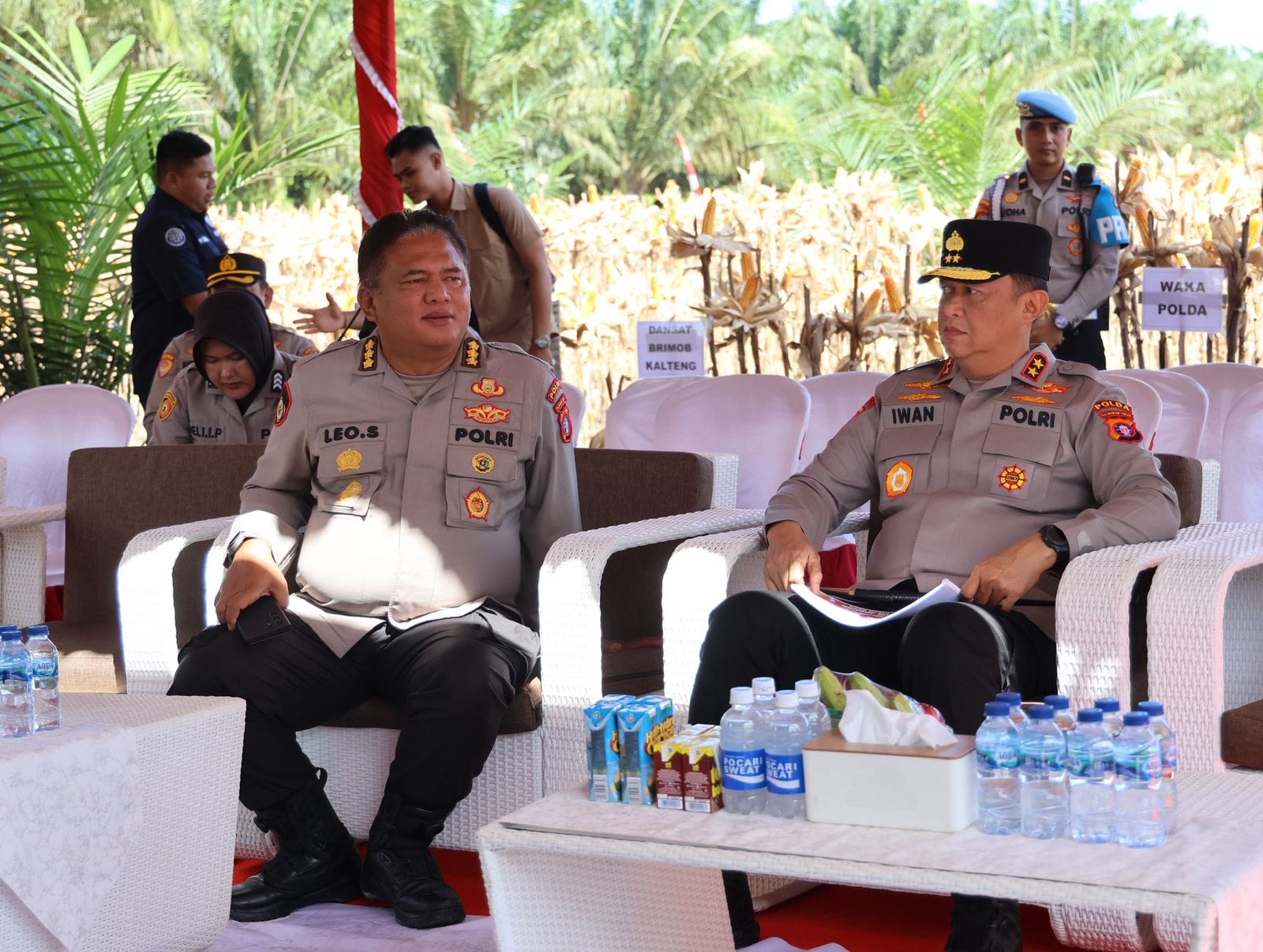 Dukung Ketahanan Pangan, Kapolda Kalteng Hadiri Panen Raya Jagung di Pulang Pisau