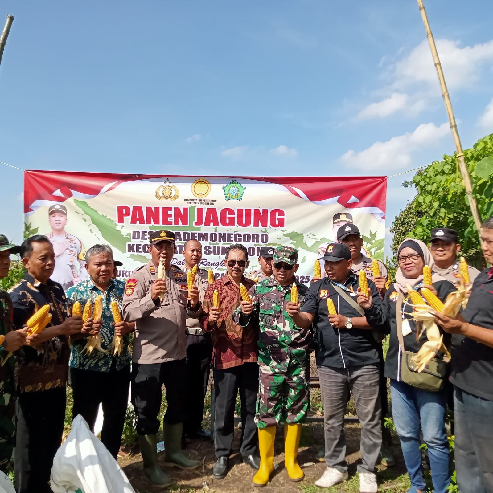 Polresta Sidoarjo Dukung Ketahanan Pangan lewat Panen Jagung BUMDes Pademonegoro