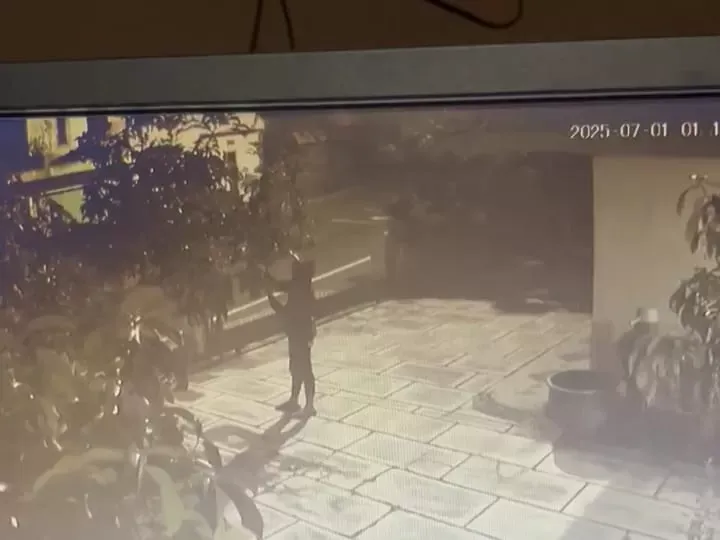 Aksi Pencurian Alpukat di Magelang Terekam CCTV, Kerugian Capai Rp2,5 Juta