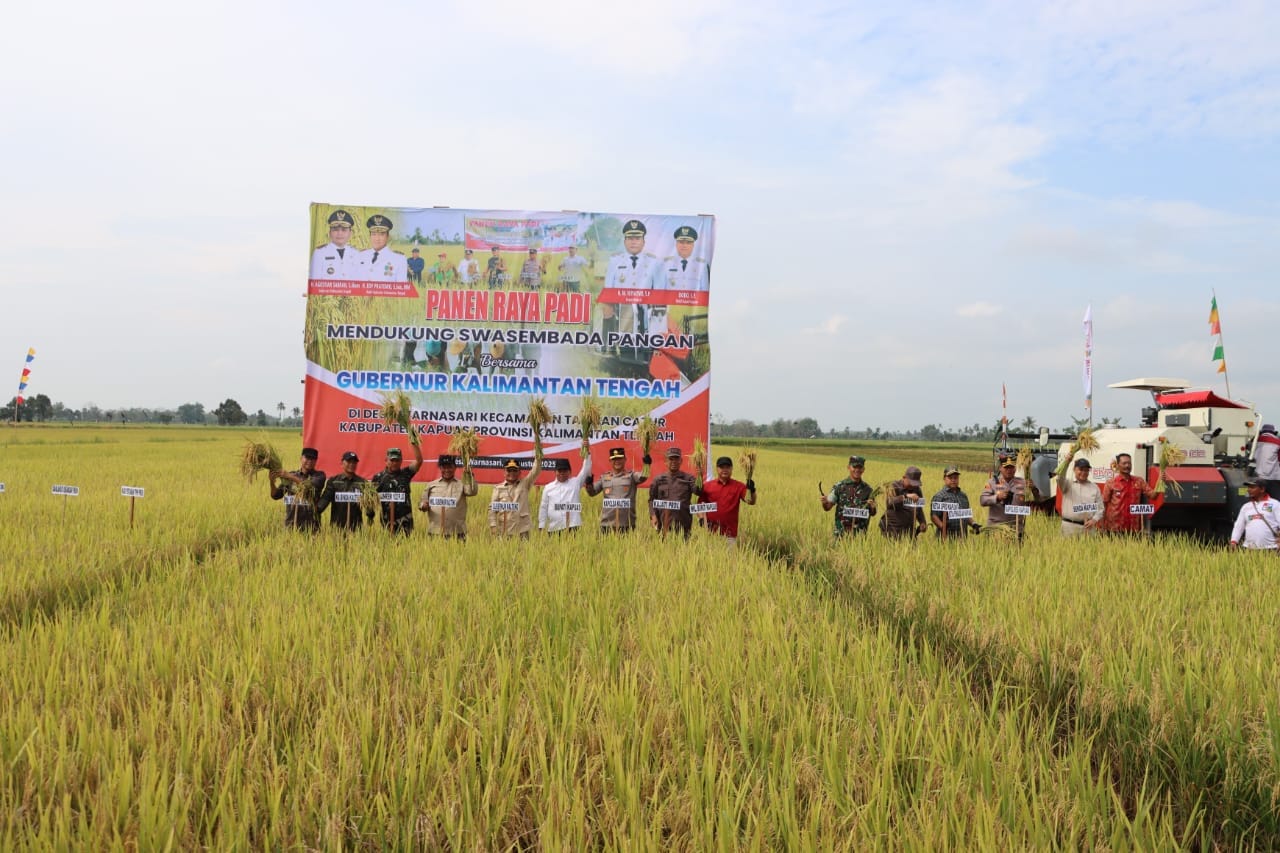 Kapolda Kalteng dan Gubernur Panen Raya Padi di Kapuas, Wujud Dukungan terhadap Ketahanan Pangan
