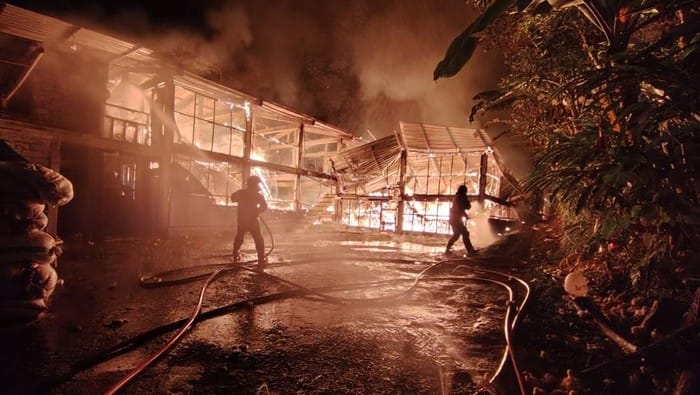 Kandang Isi 18 Ribu Ayam di Temanggung Terbakar Hanya 200 yang Selamat