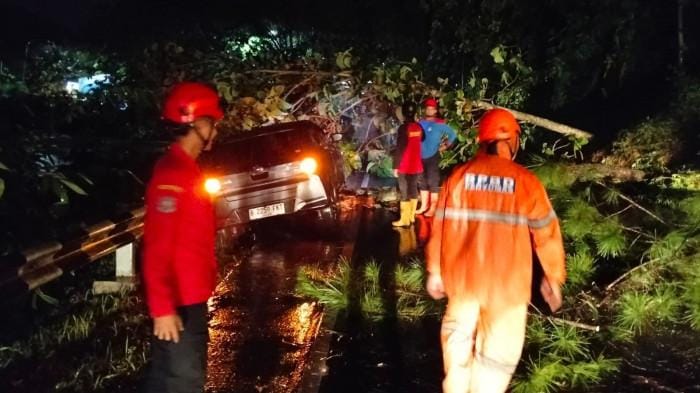 Hujan Deras Dua Hari, Banyumas Dilanda Longsor dan Pohon Tumbang