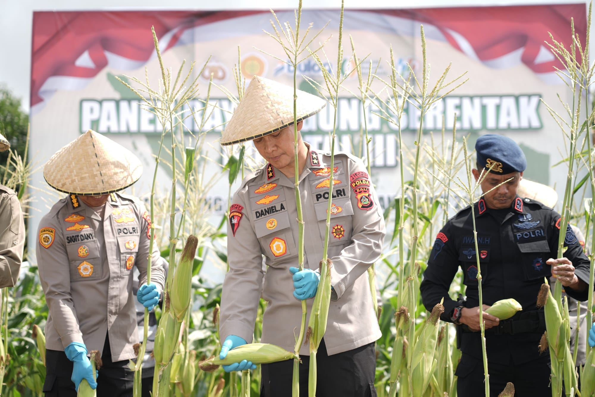 Kapolda Bali Gelar Panen Raya Jagung Serentak Kuartal III Dukung Swasembada Pangan 2025