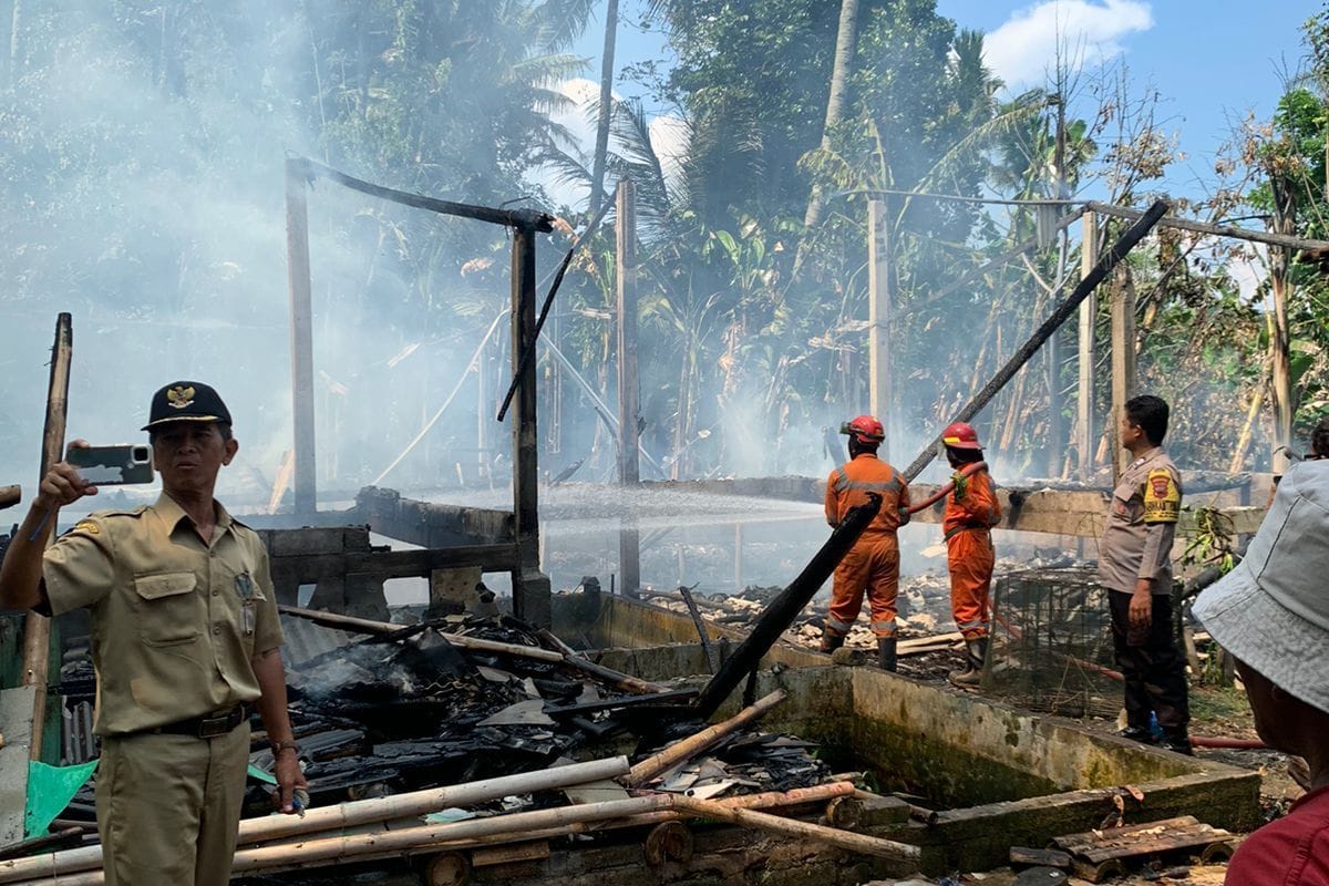 Korsleting Listrik Diduga Sebabkan Kebakaran Kandang Ayam di Kabupaten Semarang