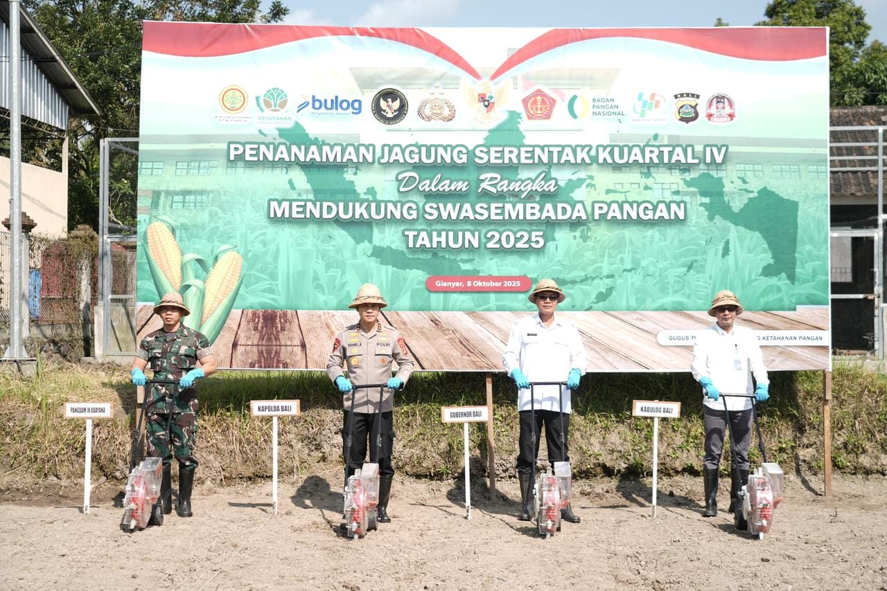Dukung Program Ketahanan Pangan Pemerintah, Polda Bali Tanam Jagung di Gianyar