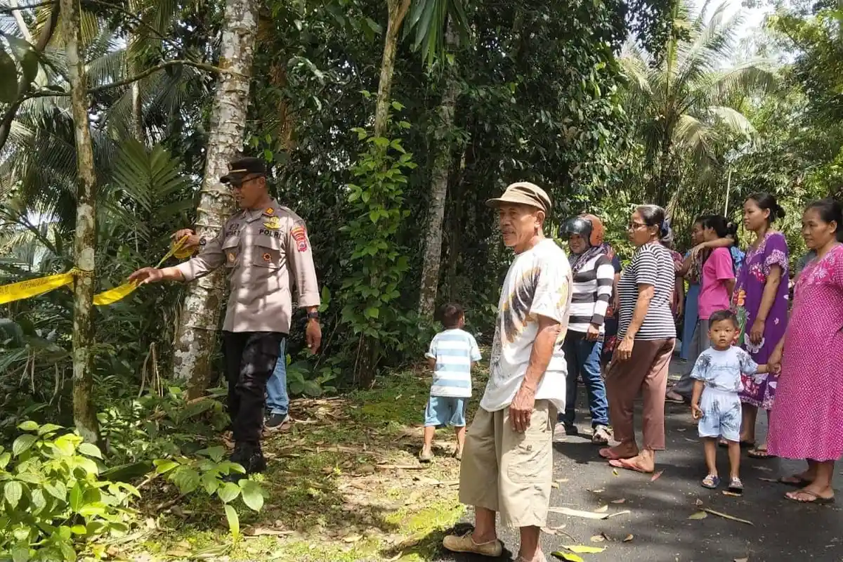 Material Longsor 30 Meter dari Lereng Sungai Logawa Menimbun Area Persawahan