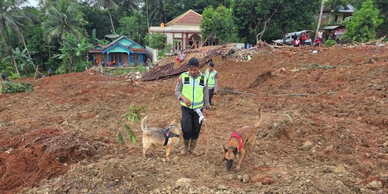 Ratusan Polisi Dikerahkan untuk Mencari Korban Longsor di Cilacap