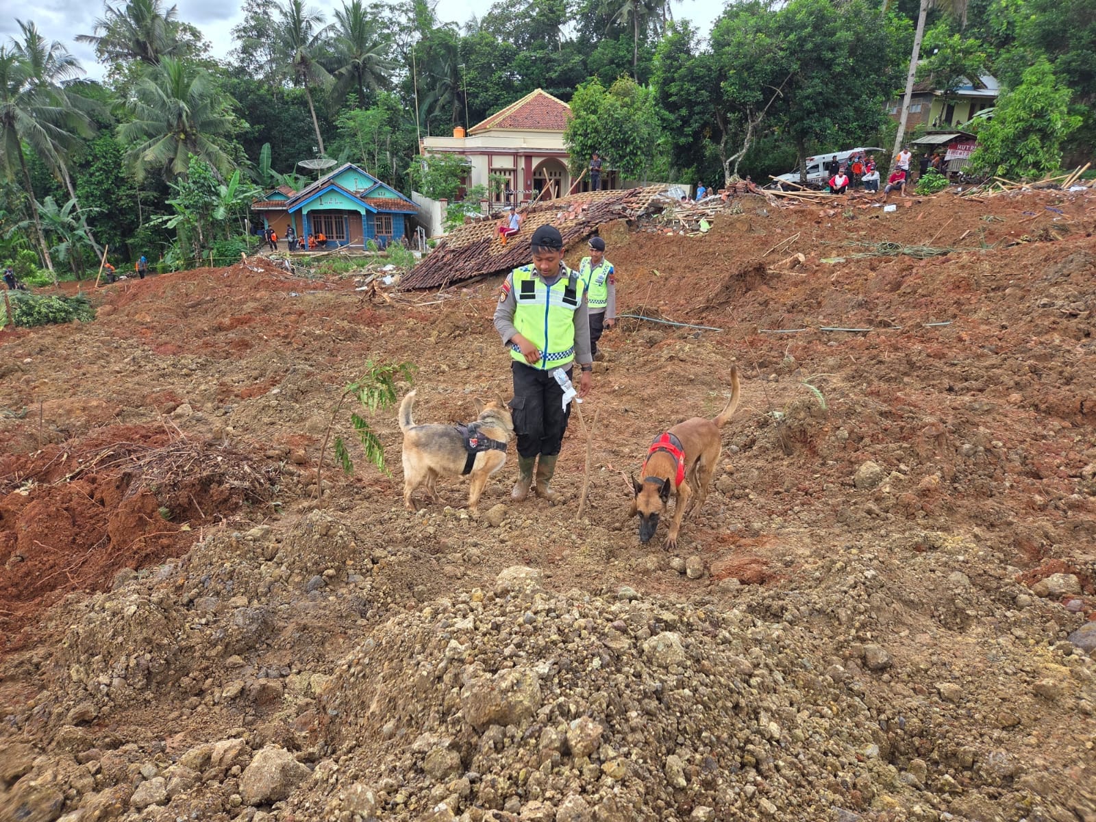 Polri Kerahkan Anjing Pelacak untuk Percepat Pencarian Korban Longsor di Cilacap