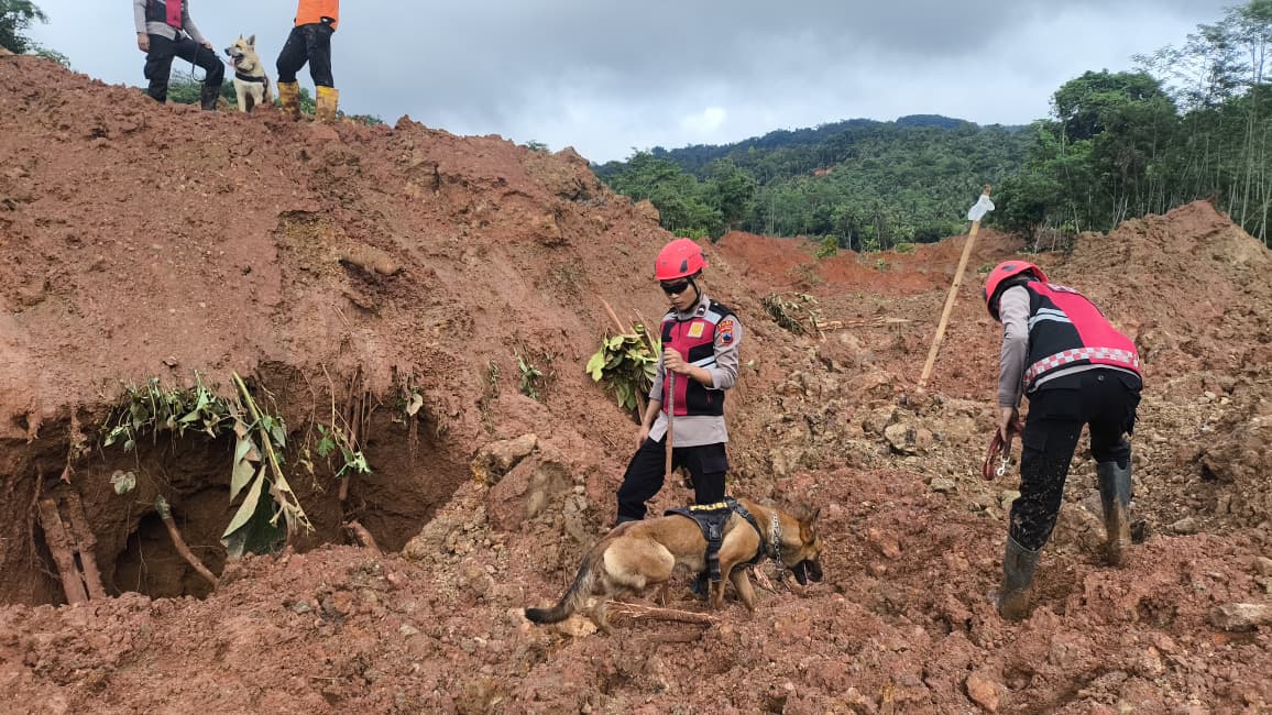 Dibantu Unit K9, Tim Gabungan Terus Berjuang Temukan 13 Warga Hilang Musibah Longsor