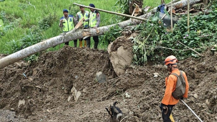 Pencarian Korban Longsor Banjarnegara Berlanjut, 14 Tewas dan 15 Hilang