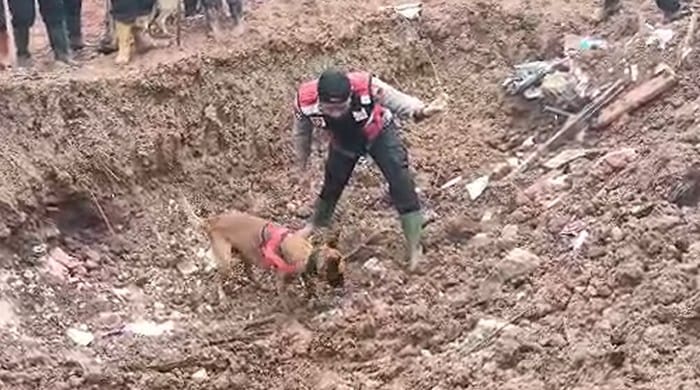 Polda Jateng Kerahkan 378 Personel dan Unit K9 untuk Cari Korban Longsor Banjarnegara