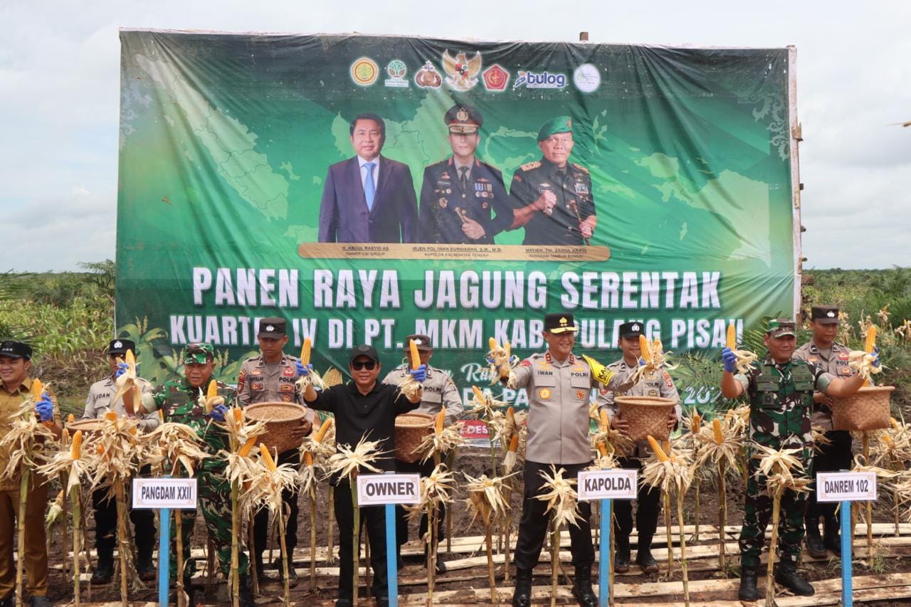 Kapolda Kalteng Bersama Pangdam XXII/Tambun Bungai Panen Jagung, Wujud Sinergi Dukung Swasembada Pangan
