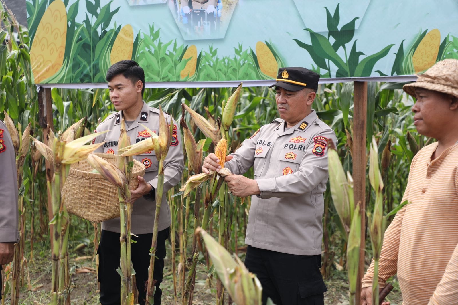Polda Bali Siap Gelar Panen Raya Jagung Serentak Kuartal IV 2026