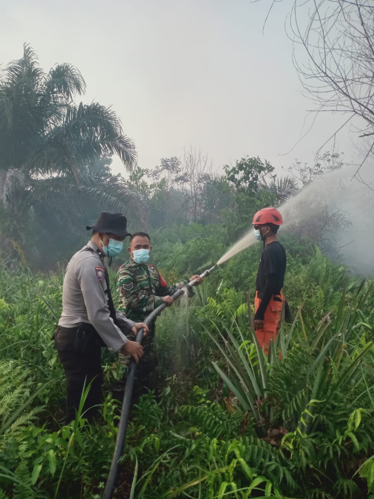 Karhutla Ancam Aktivitas Warga, Polisi Ingatkan Bahaya Bakar Semak Belukar