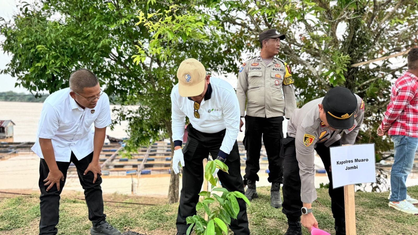 HUT ke-69 Provinsi Jambi: Polda Jambi Dukung Penanaman 201.274 Pohon Serentak di Muaro Jambi