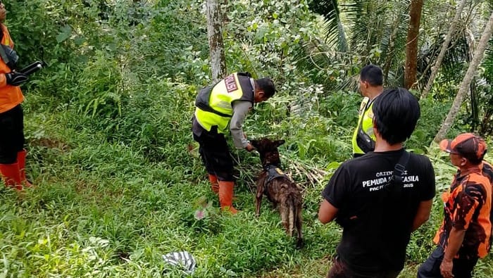 Kakek Sebatang Kara di Banyumas Hilang Berhari-hari, Tim SAR Sisir Hutan