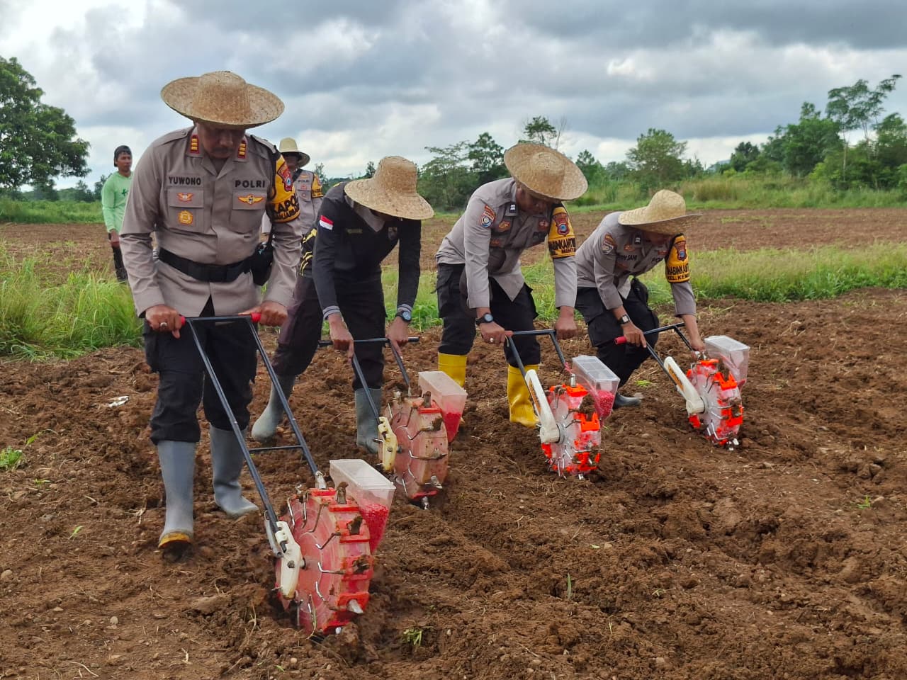Tanam Jagung Pipil, Polsek Banjarbaru Utara dan Petani Kompak Jaga Stabilitas Pangan