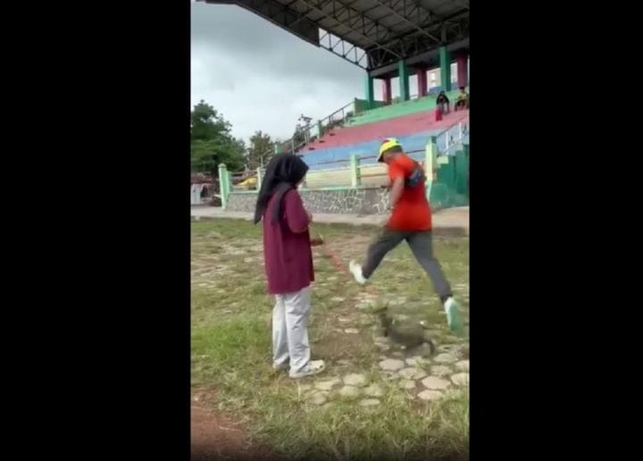 Kasus Viral Penganiaya Kucing di Blora, Polisi Ungkap Pelaku Pensiunan PNS