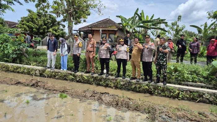 Dukung Program Pemerintah, Polda Jateng Kembangkan Padi Japonica Tarabas