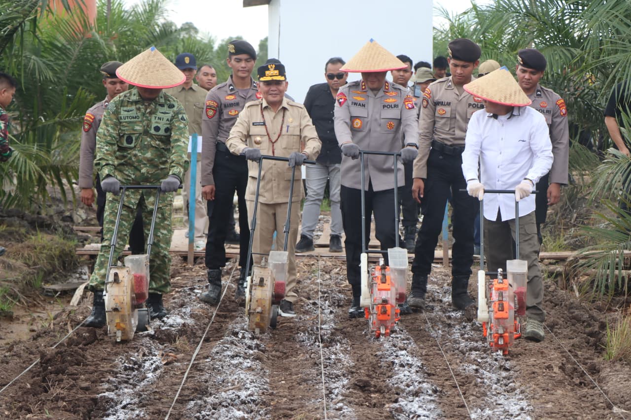 Wujudkan Ketahanan Pangan, Polda Kalteng Gandeng PT MKM Tanam Jagung di Lahan Sawit
