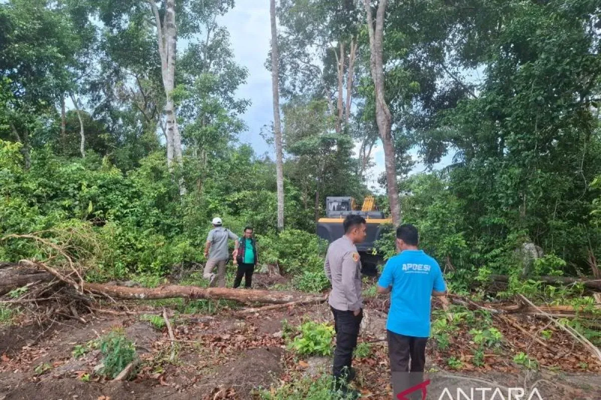 Ditreskrimsus Polda Babel Bongkar Tambang Ilegal di Hutan Produksi, Excavator Disita