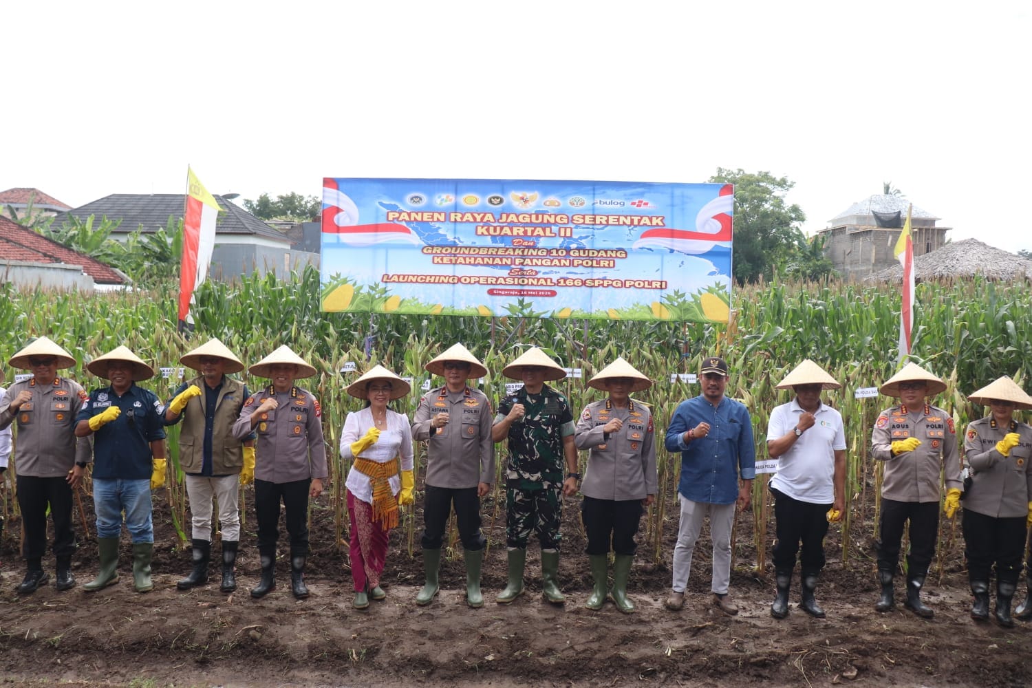 Wakapolda Bali Pimpin Panen Raya Jagung Serentak di Buleleng, Petani Tetap Jadi Pelaku Utama