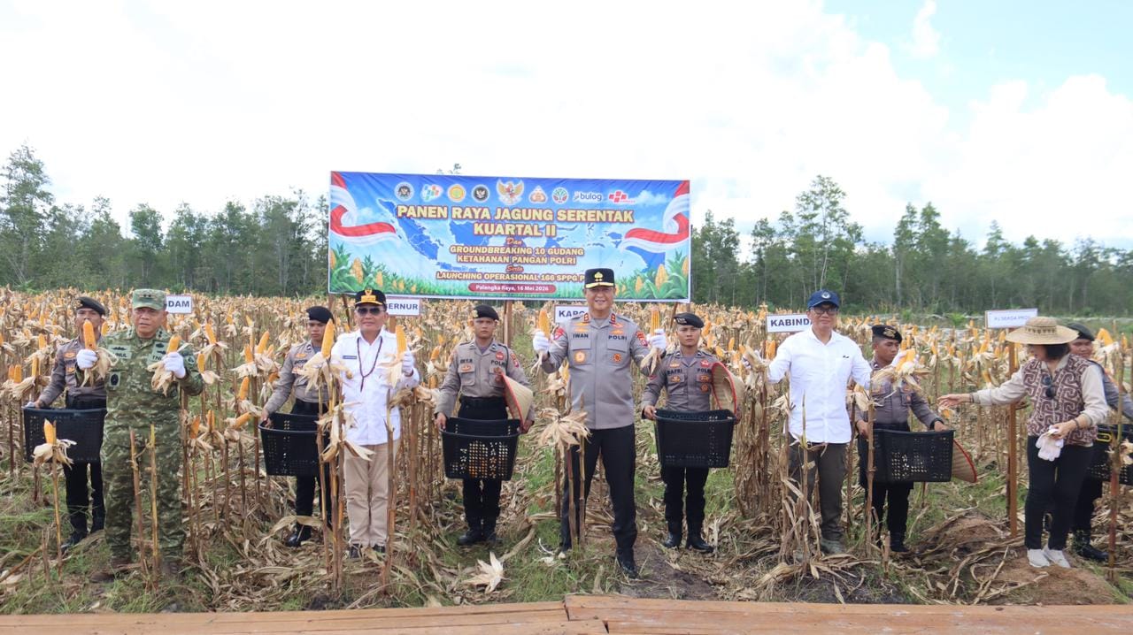 Dukung Ketahanan Pangan Nasional, Kapolda Kalteng Bersama Forkopimda Gelar Panen Raya Jagung Kuartal II di Rakumpit