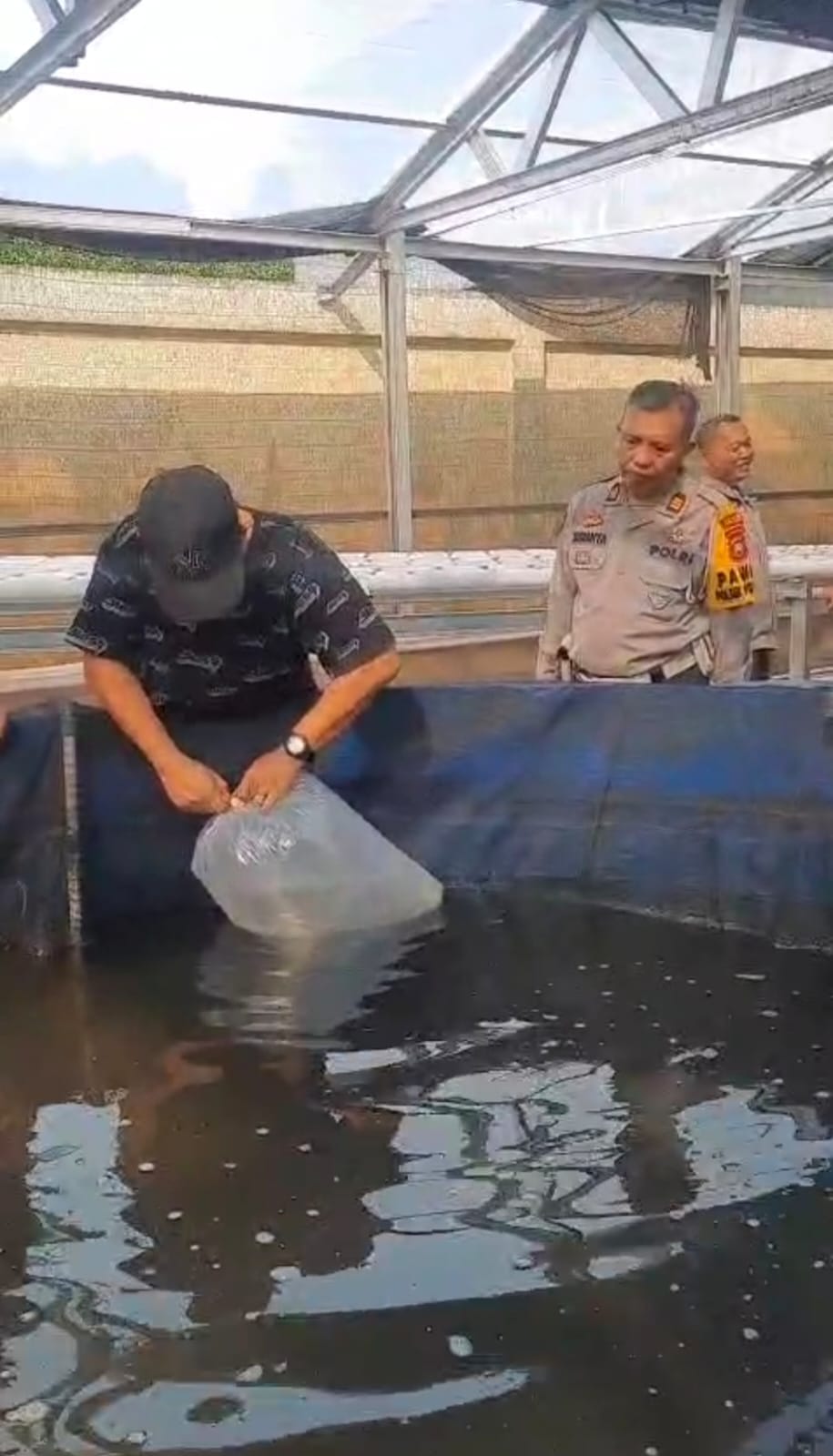 Budidaya Bioflok P2L Diperkuat, Kapolsek Pontianak Timur Lepaskan Bibit Ikan Gurame